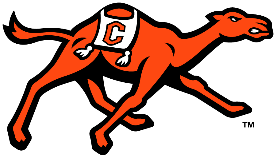 Campbell Fighting Camels 2023-Pres Primary Logo diy DTF decal sticker